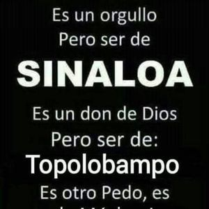 Meet your Posher, Salib